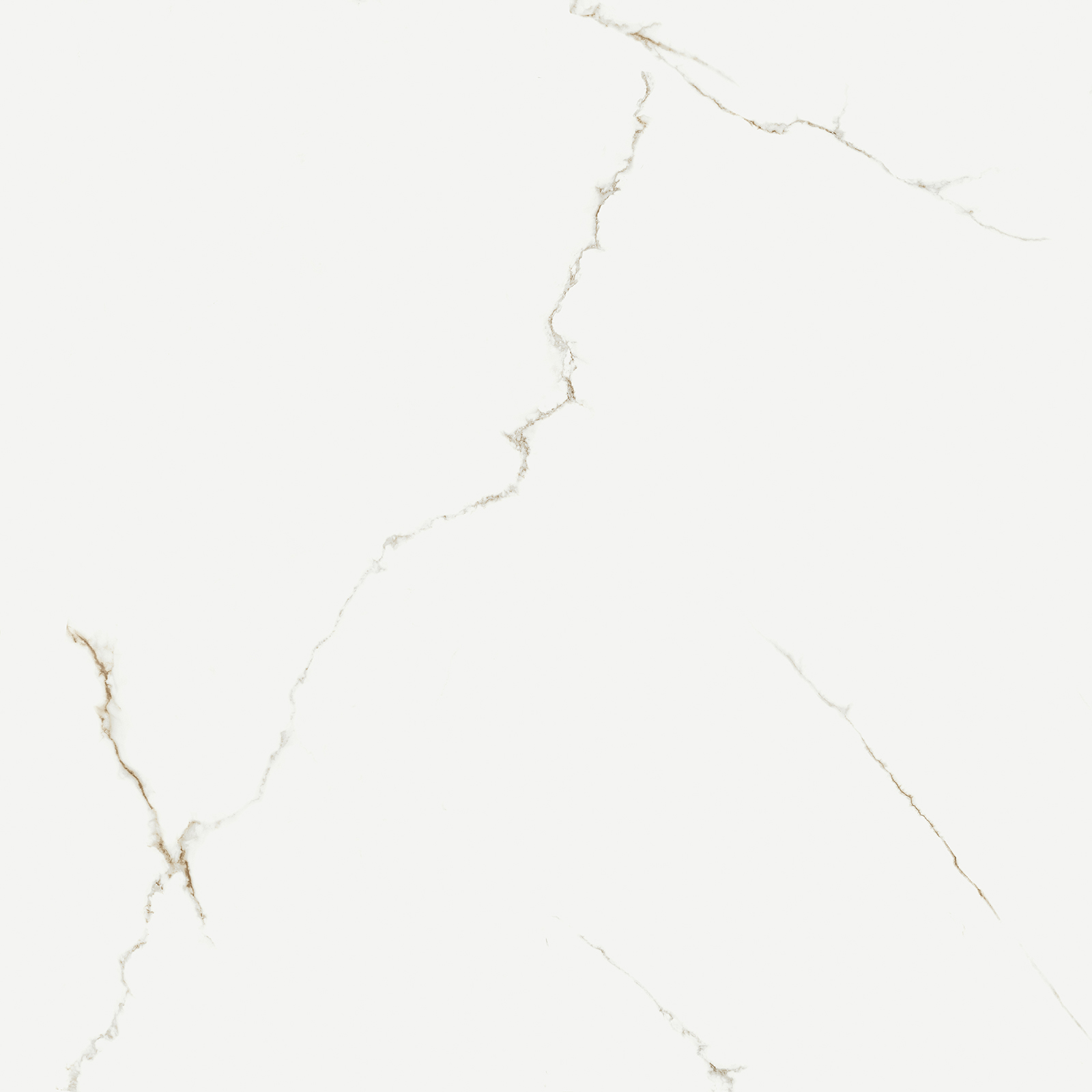 BODENFLIESE MARMOROPTIK THUILE WEIß GLÄNZEND 119X119 STN CERAMICA