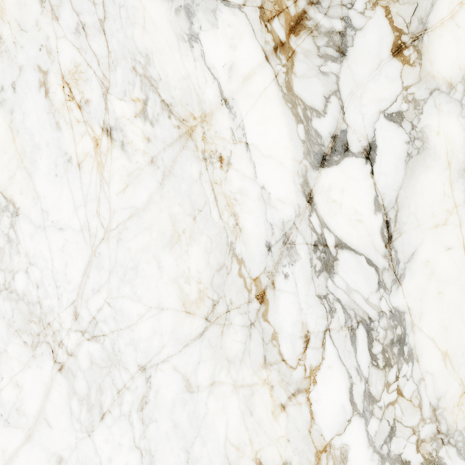 BODENFLIESE MARMOROPTIK BARNABY SUPER WEIß MATT 120X120 HALCON