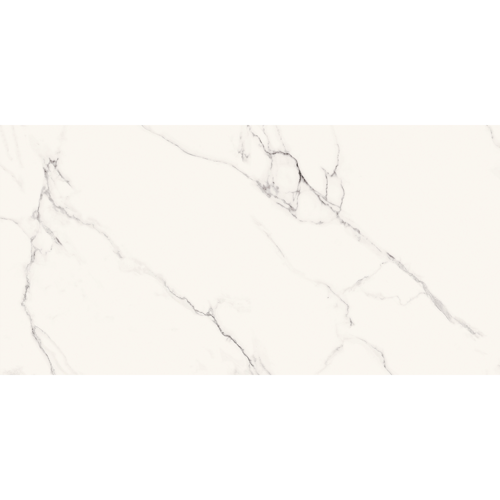 BODENFLIESE CALACATTA NEW WEIß GLÄNZEND 60X120 #S001