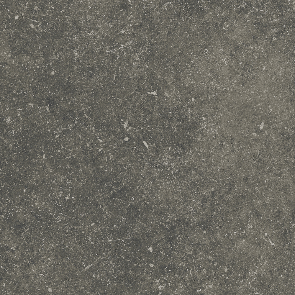 TERRASSENPLATTE MEDICIO 2CM GRAPHITE MAT 59,3X59,3
