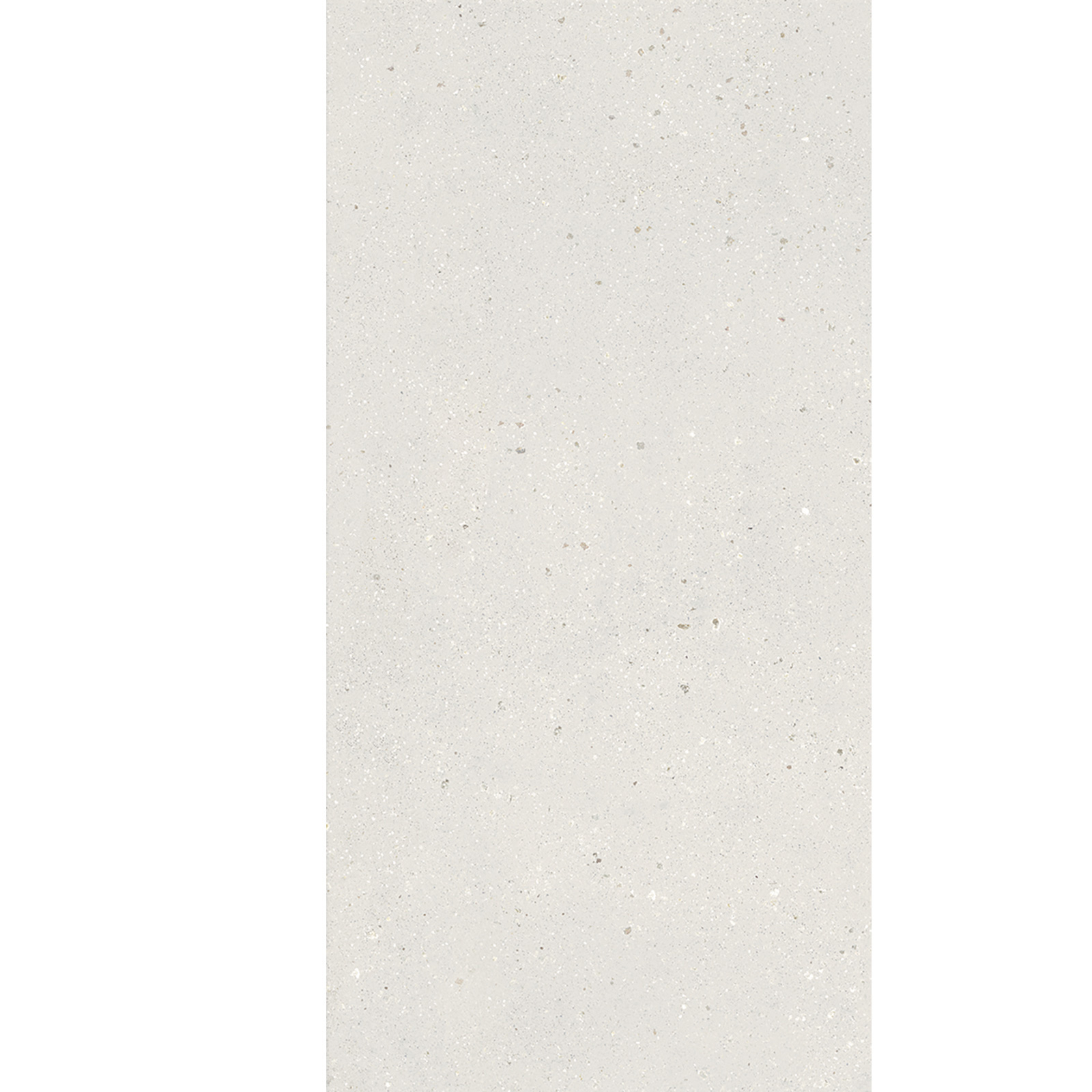BODENFLIESE TERRAZZOOPTIK GEOLOGY ARGILLA MATT 60X120 DADO CERAMICA BODENFLIESE TERRAZZOOPTIK GEOLOGY ARGILLA MATT 60X120 DADO CERAMICA
