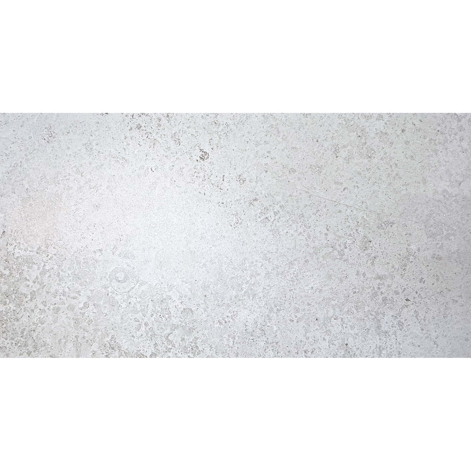 BODENFLIESE STEINOPTIK FOSSILIA SILBER MATT 60x120 MAGNIFICA BODENFLIESE STEINOPTIK FOSSILIA SILBER MATT 60x120 MAGNIFICA