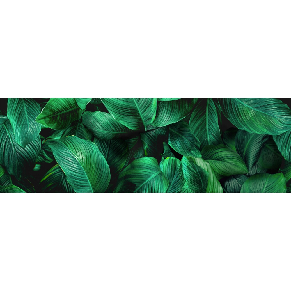WANDFLIESE ALFA-CER DEK NEXT FICUS A GLASS 29X89
