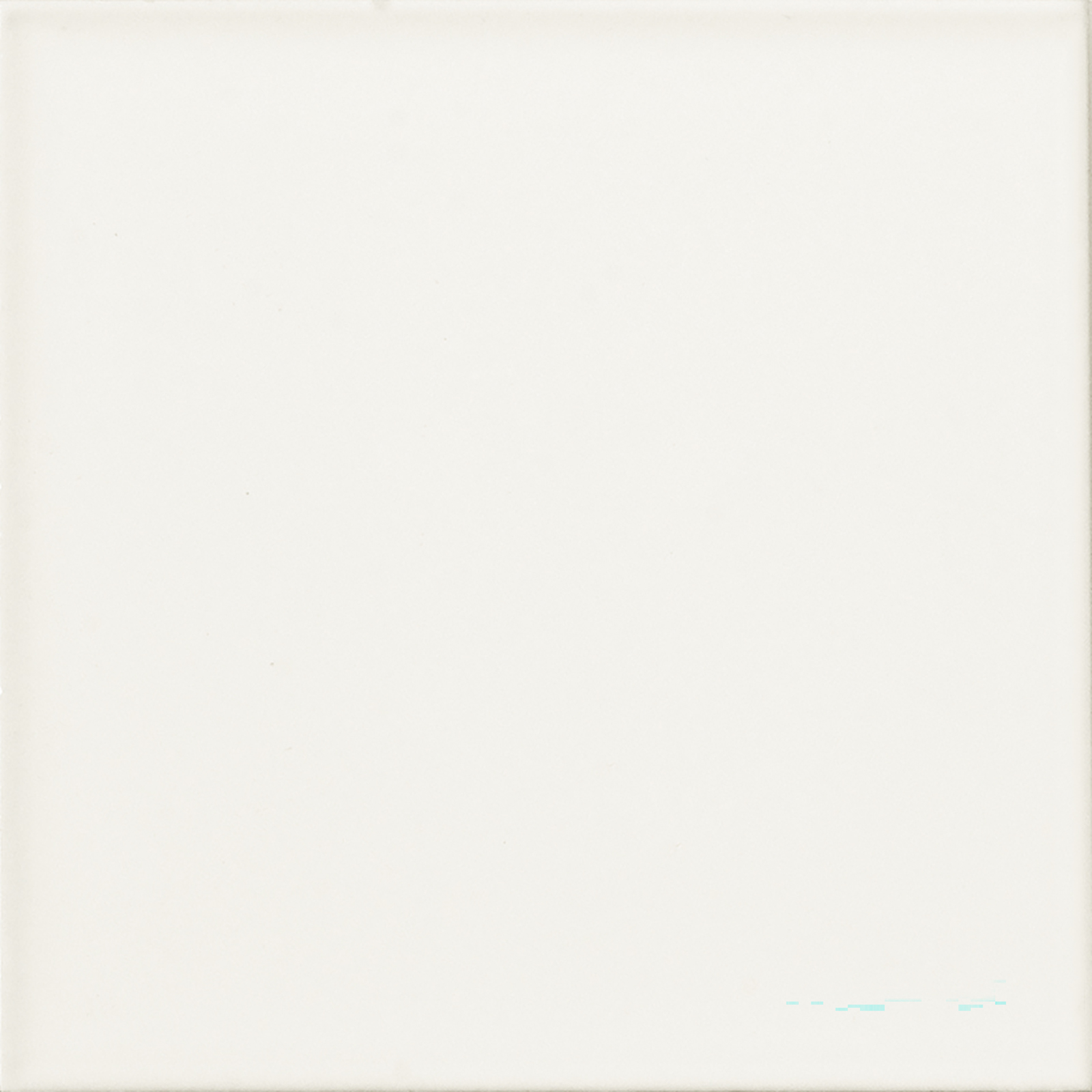 WANDFLIESE VA MONOCOLOR BLANCO LISO MATT 20X20 VILAR ALBARO WANDFLIESE VA MONOCOLOR BLANCO LISO MATT 20X20 VILAR ALBARO