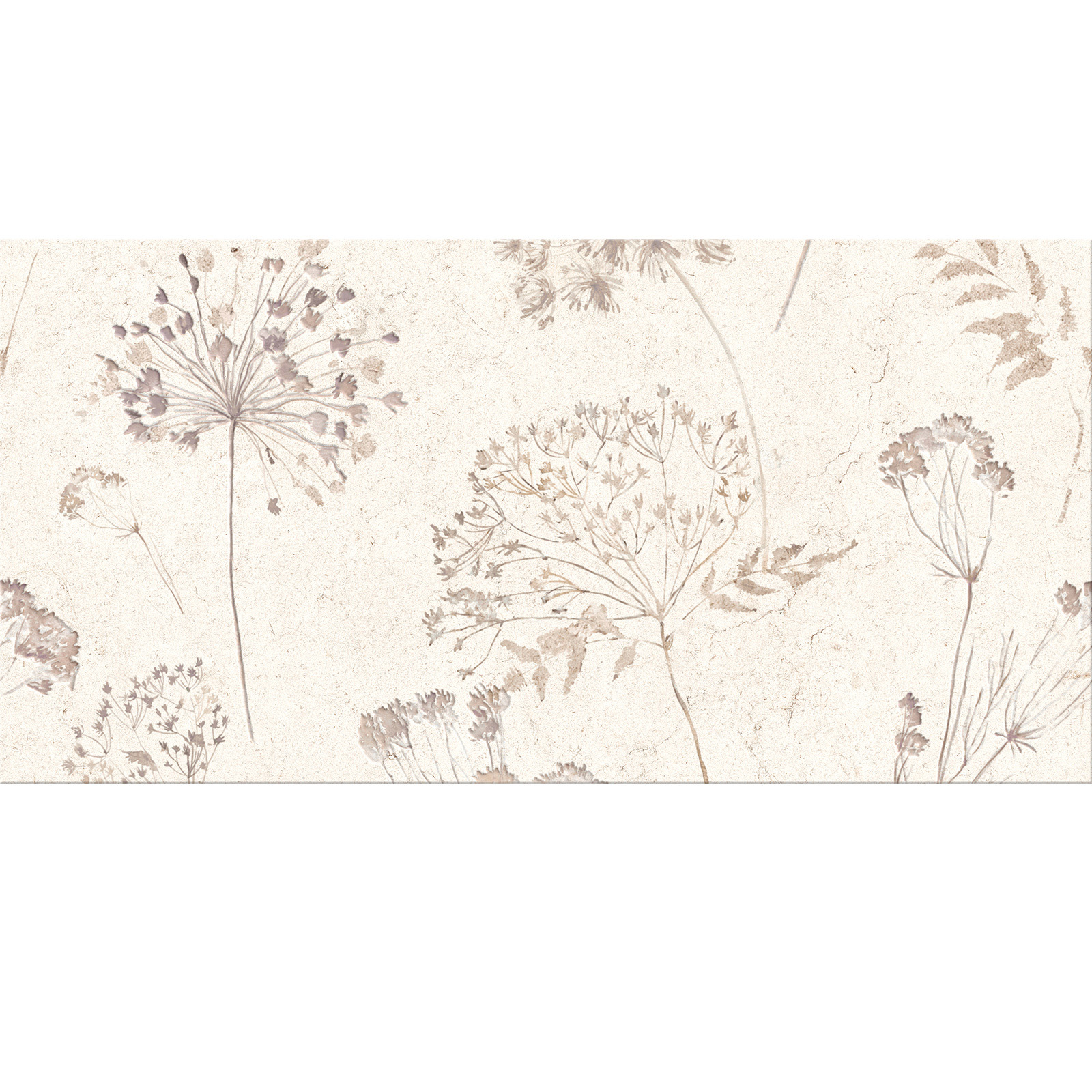 WANDFLIESE INSERTO FANTI CREME SATIN 59,6X59,8 CERSANIT