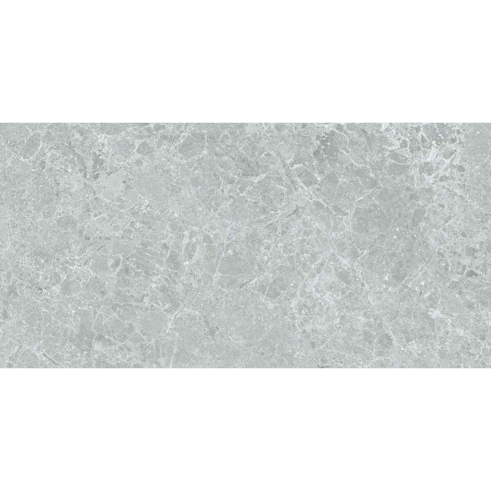 BODENFLIESE STEINOPTIK CHARME GRAU MATT 60X120