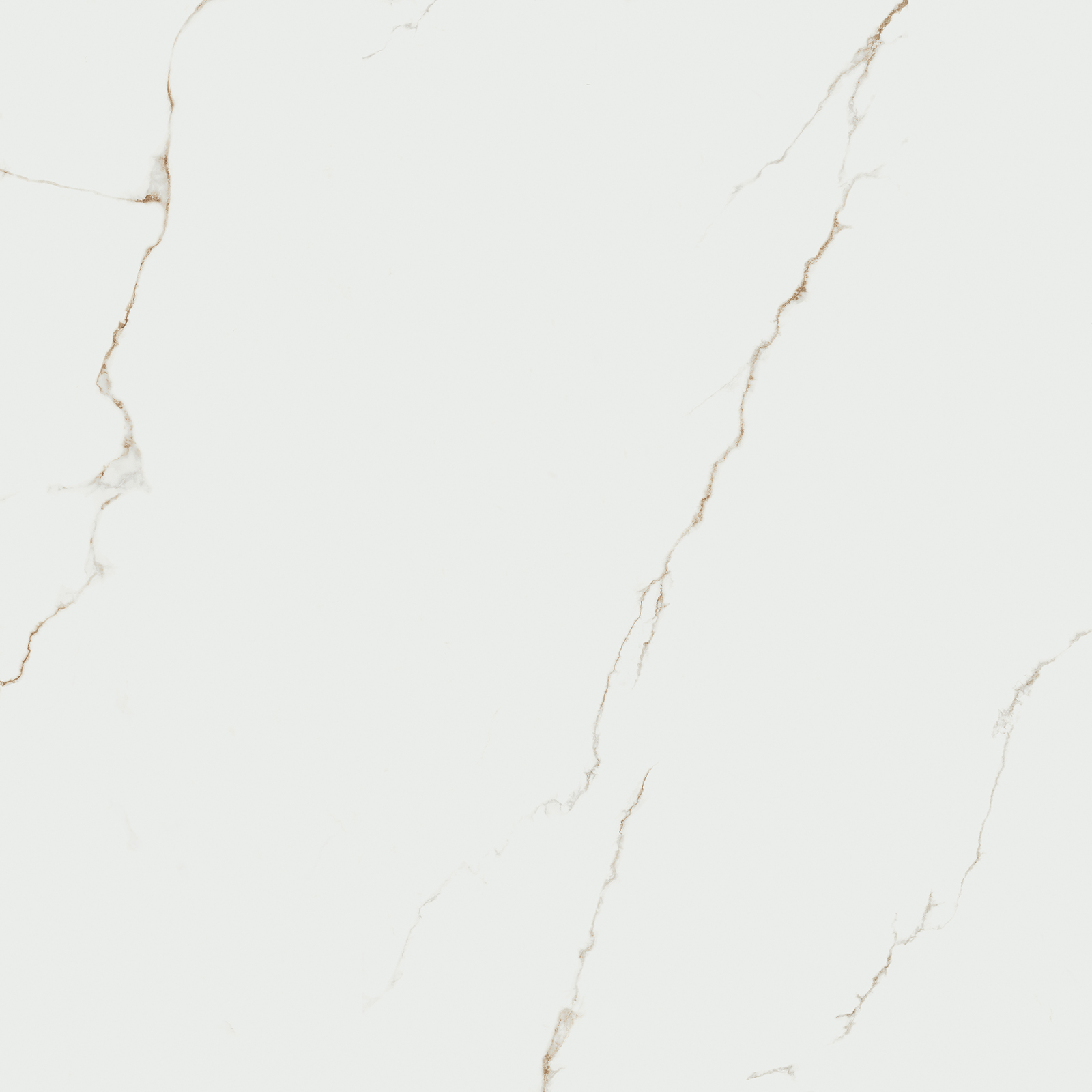 BODENFLIESE MARMOROPTIK THUILE WEIß SATIN 120X120 STN CERAMICA