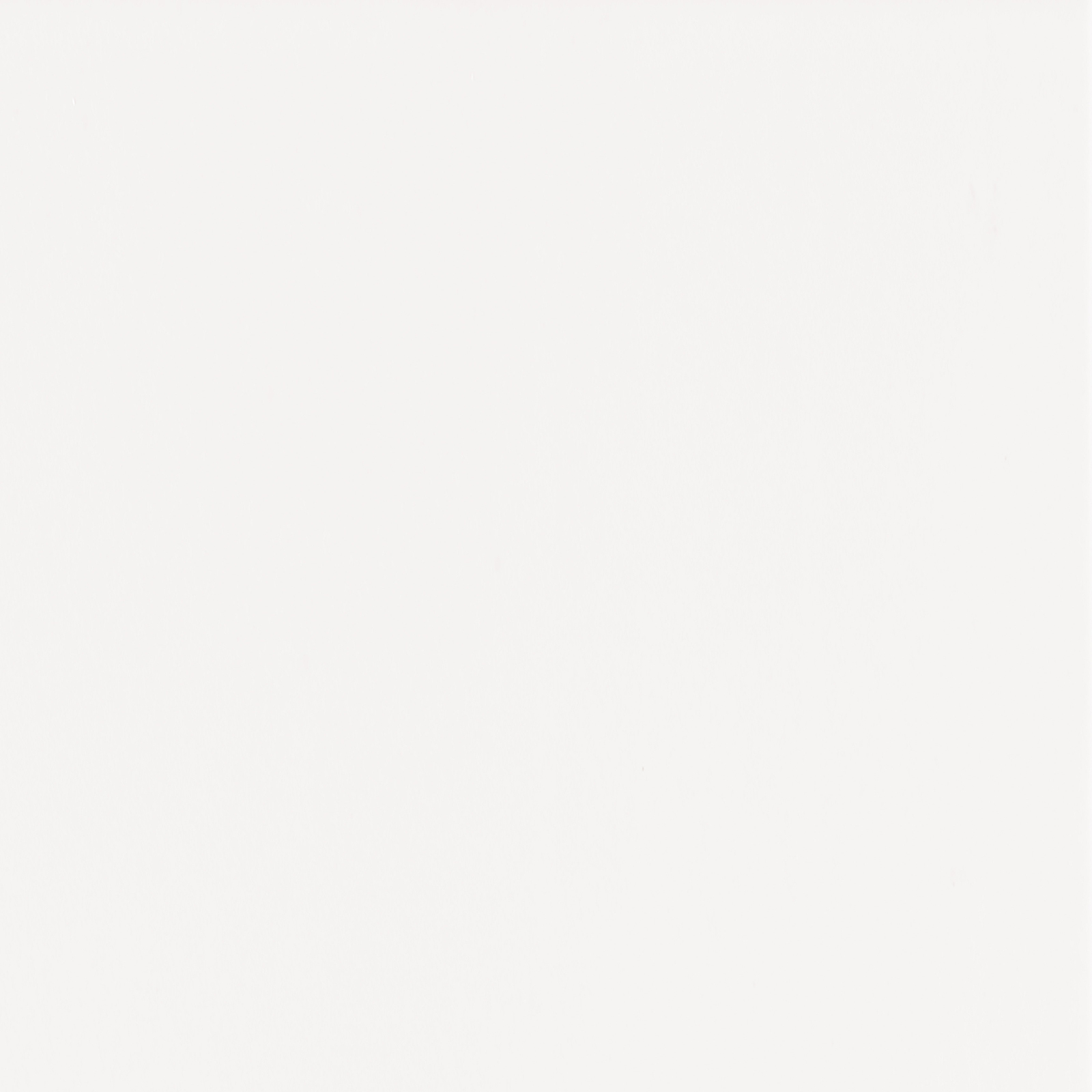 BODENFLIESE MAXITECH ASPEN WEIß MATT 80X80 ALAPLANA